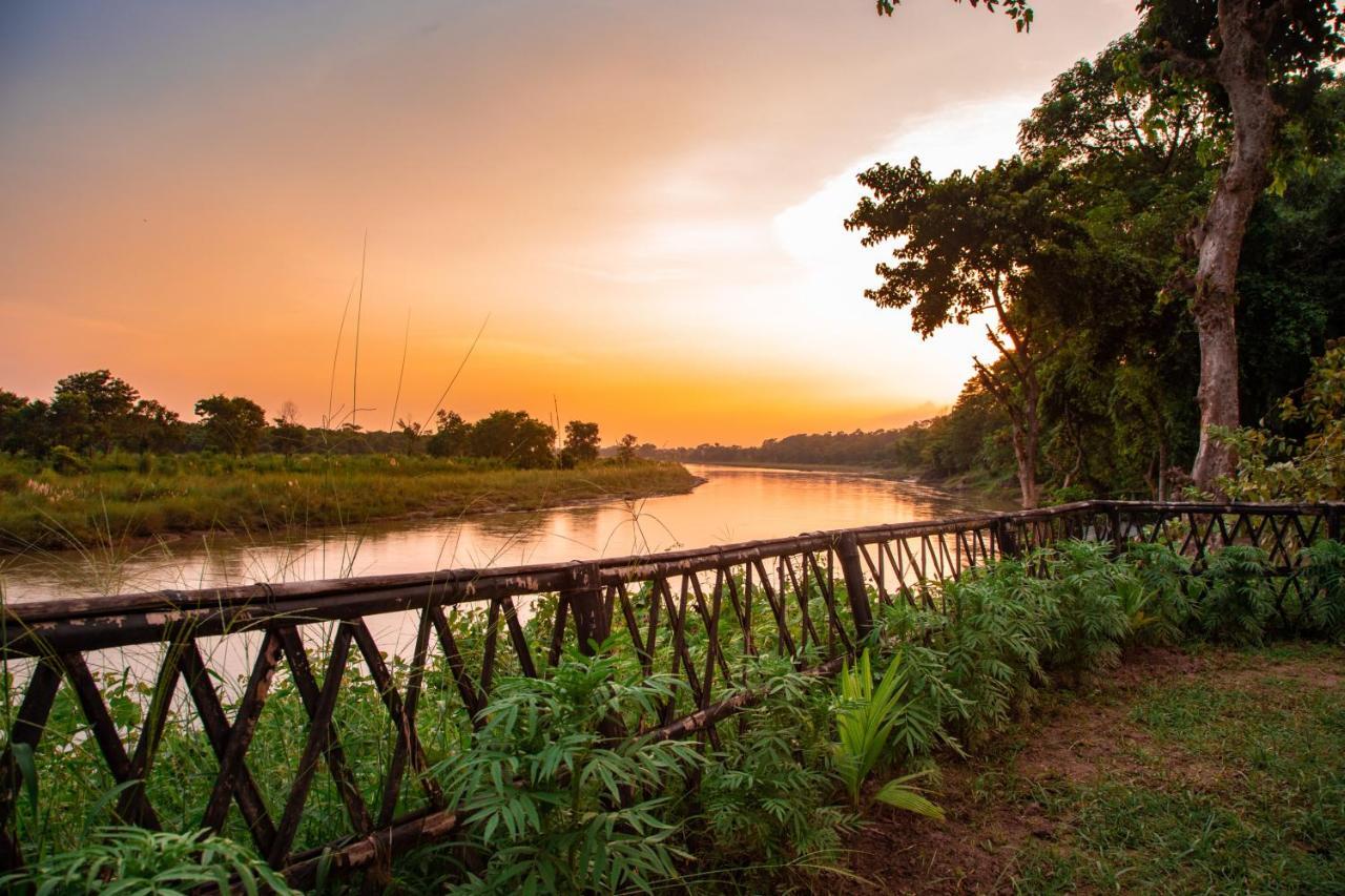 Chitwan Riverside Resort Sauraha Buitenkant foto